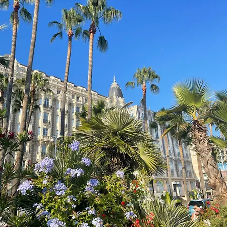 Le Pinson Mignon Carre D Or * Cannes