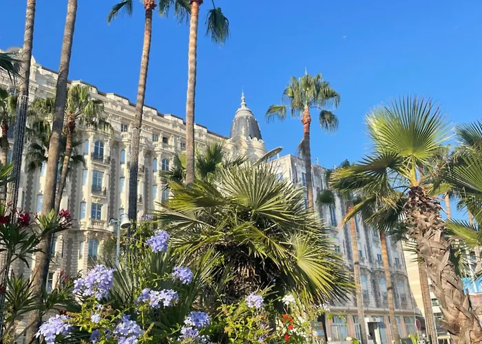 Le Pinson Mignon Carre D Or * Cannes
